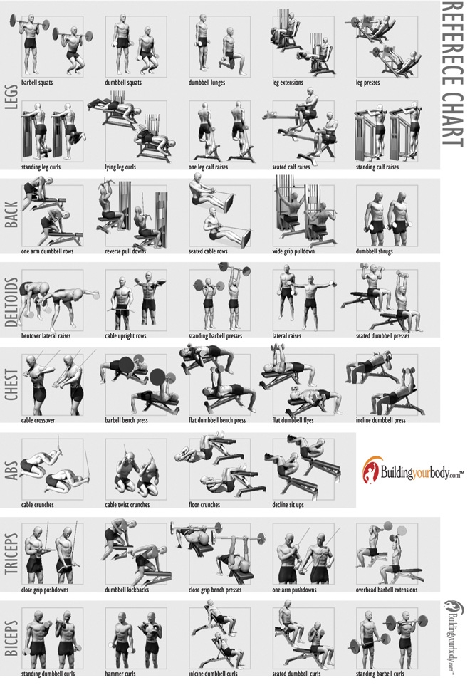 Printable Weight Lifting Workouts Charts